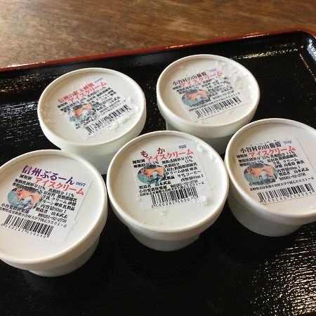 Otari Pension Hobby Hakuba Norikura מראה חיצוני תמונה